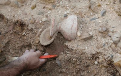 El Yacimiento Arqueológico de Pintia descubre el brindis Vacceo